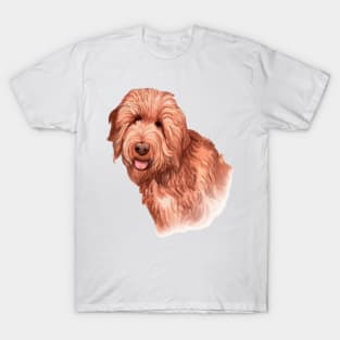 Golden Doodle T-Shirt